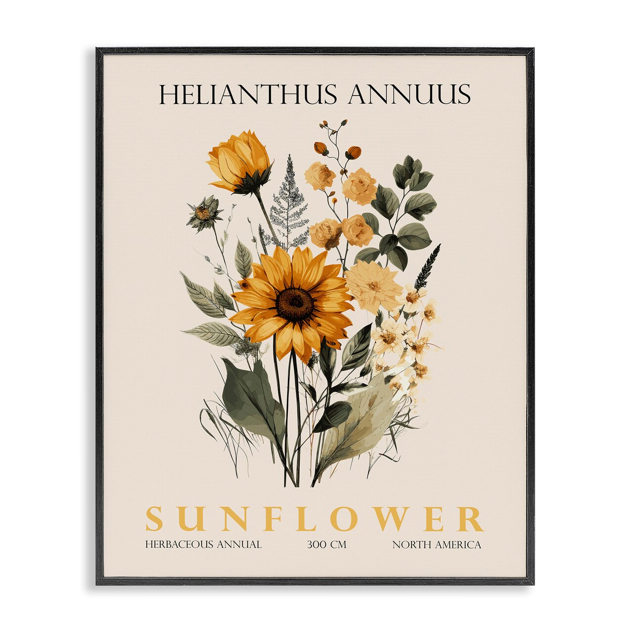 Stupell Industries Natural Sunflower Bundle Framed Giclee, design by Christopher Giampietro